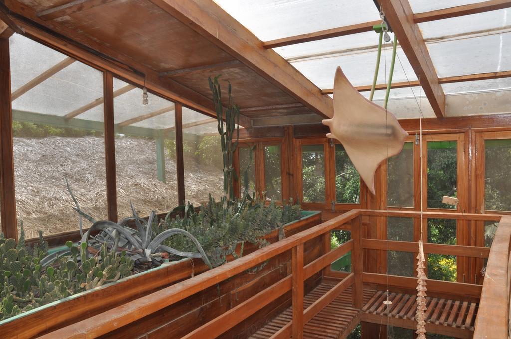 Puerto López 曼陀罗旅舍旅舍 外观 照片