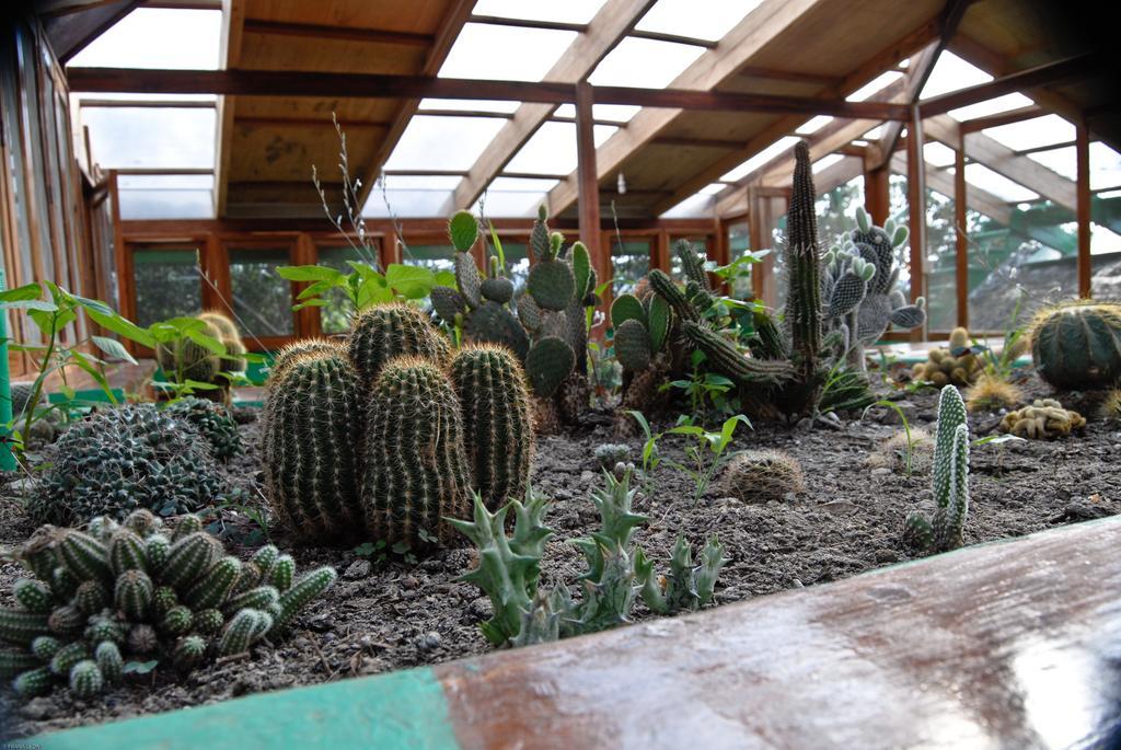 Puerto López 曼陀罗旅舍旅舍 外观 照片